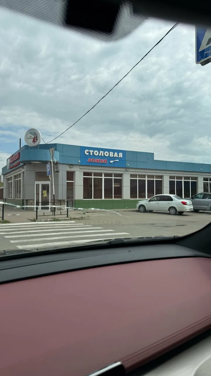 Ложка — фото 8
