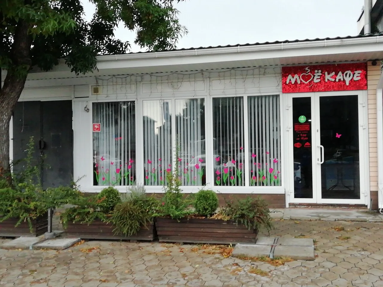 Моё кафе