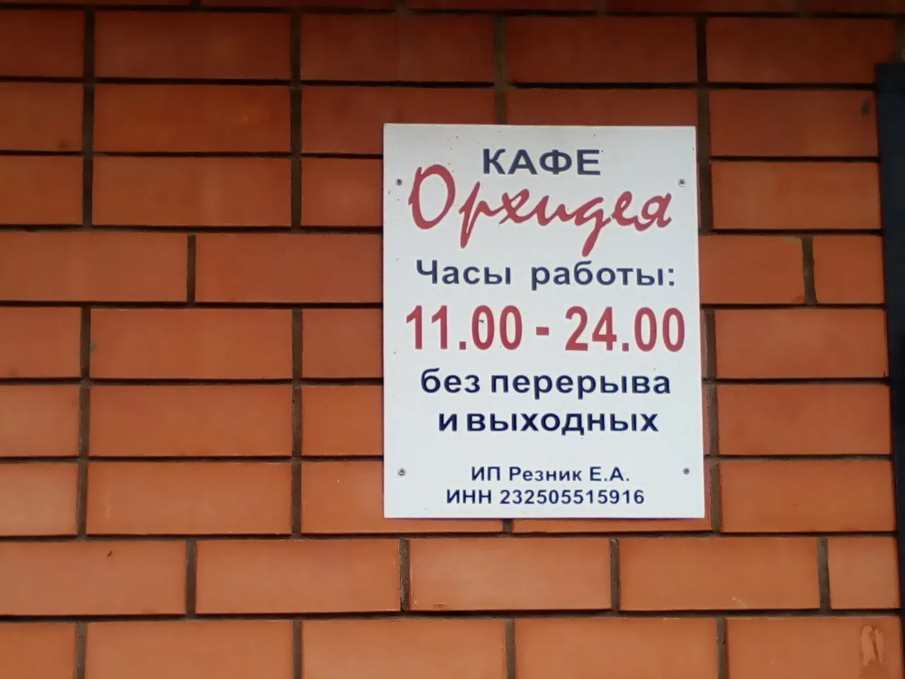 Орхидея
