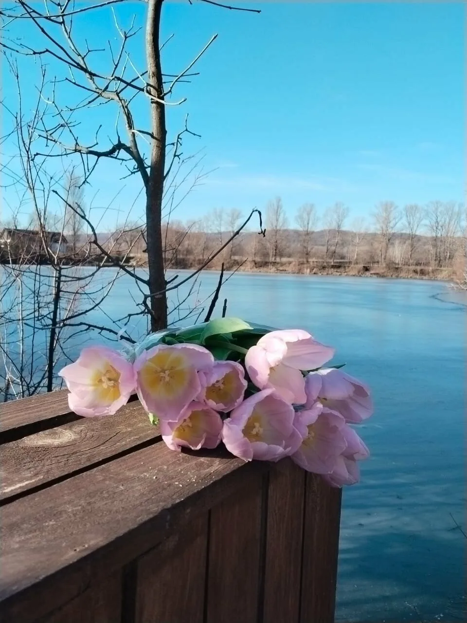 Чистые Пруды — фото 2