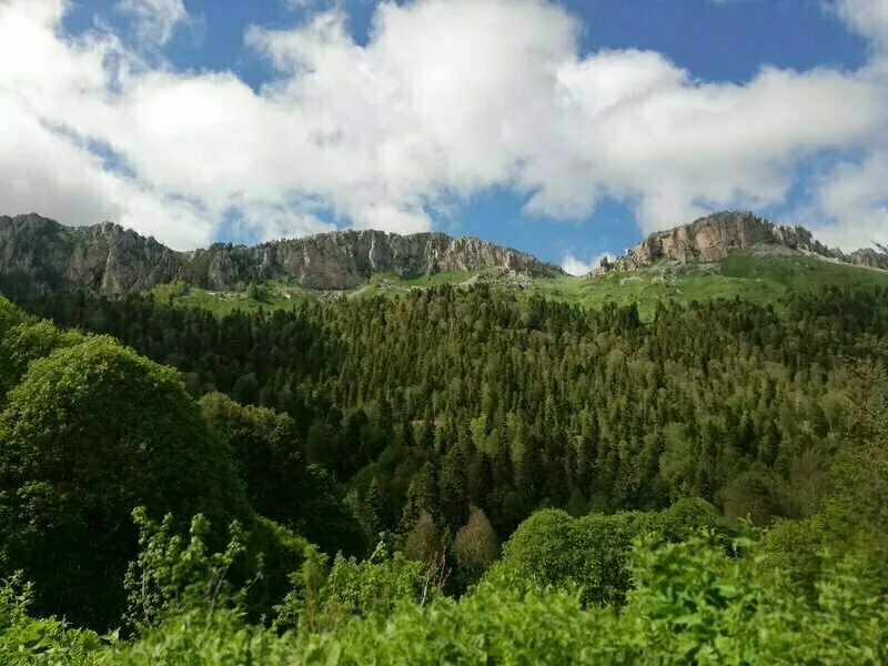 Велнес Усадьба — фото 12