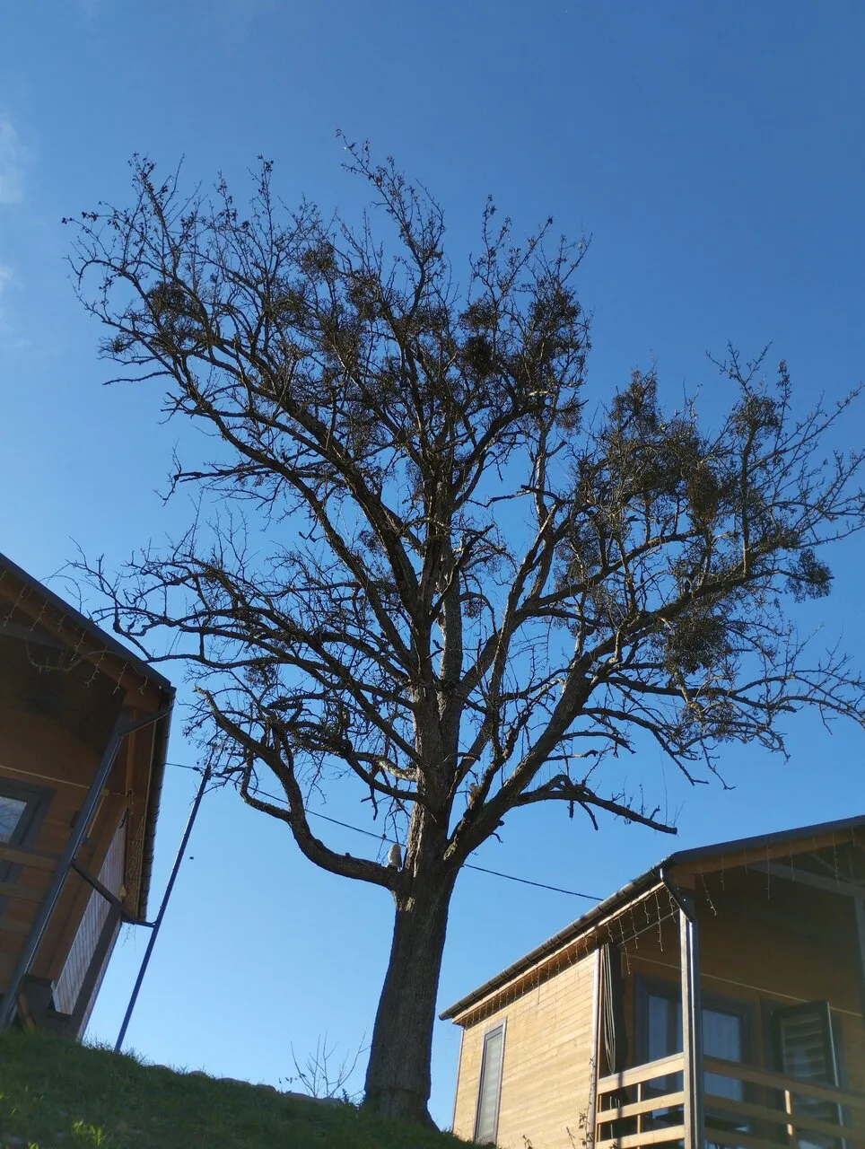 Горы зовут — фото 12
