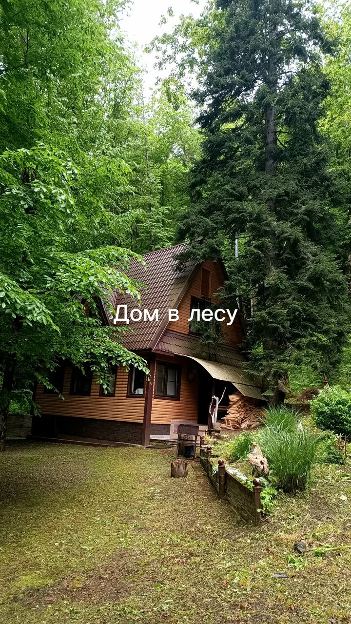 ЧистоТел — фото 6