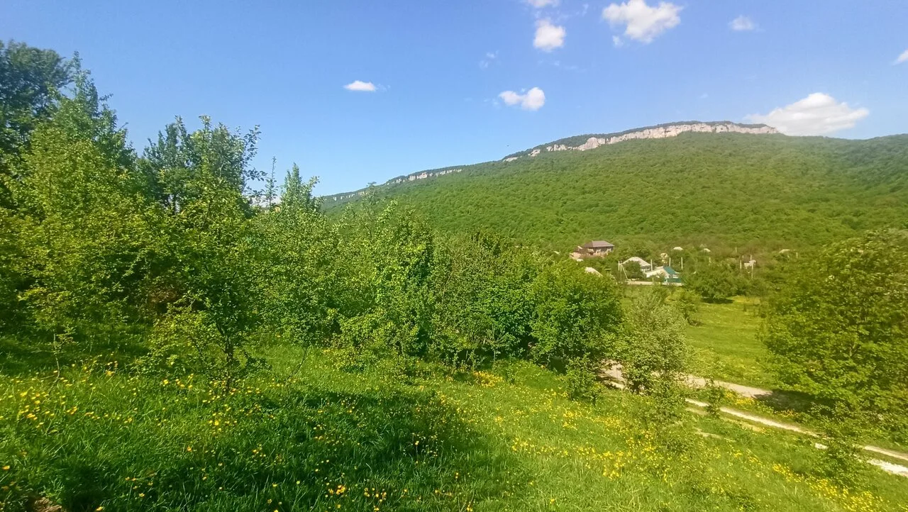 Нюшина сказка — фото 5