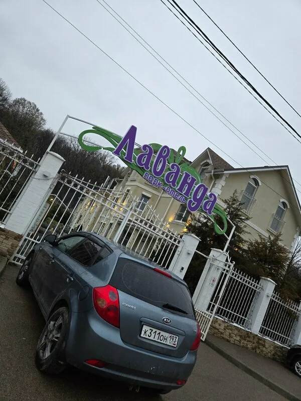 Лаванда — фото 2