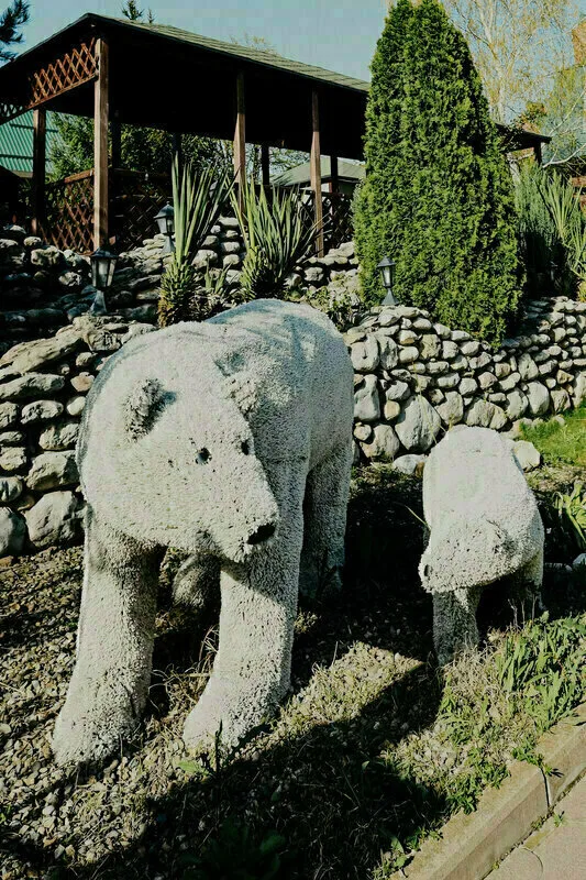 Большая Медведица — фото 7