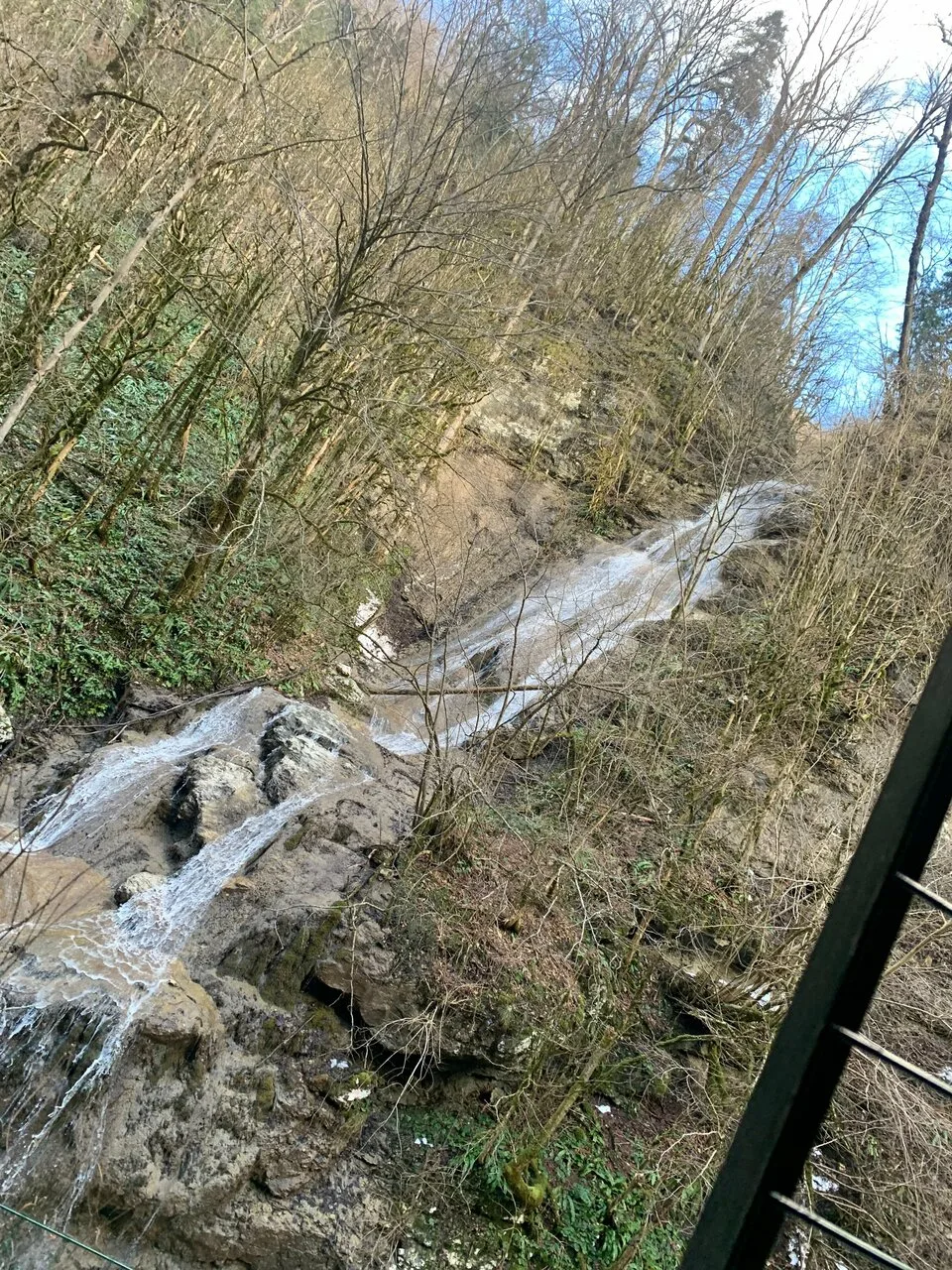 Ореховая роща — база отдыха в Гуамке — фото 12