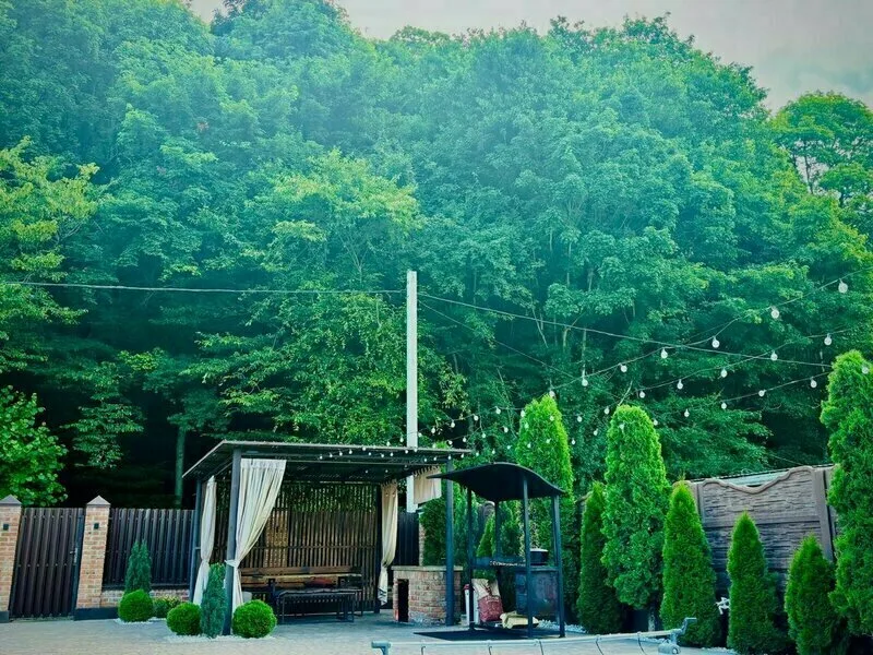 Green forest — фото 3