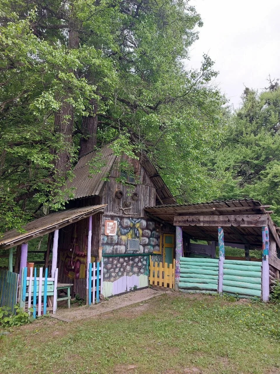 ГЛЮК Завадова Поляна — фото 6
