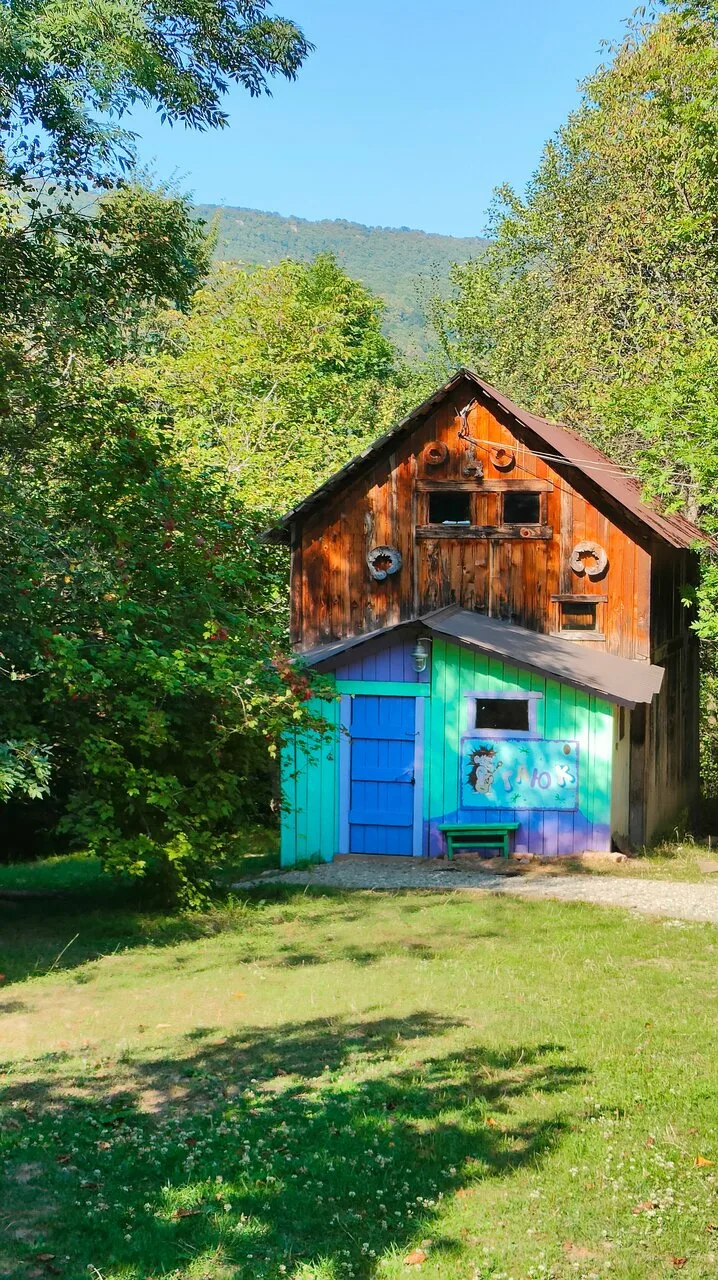 ГЛЮК Завадова Поляна — фото 10