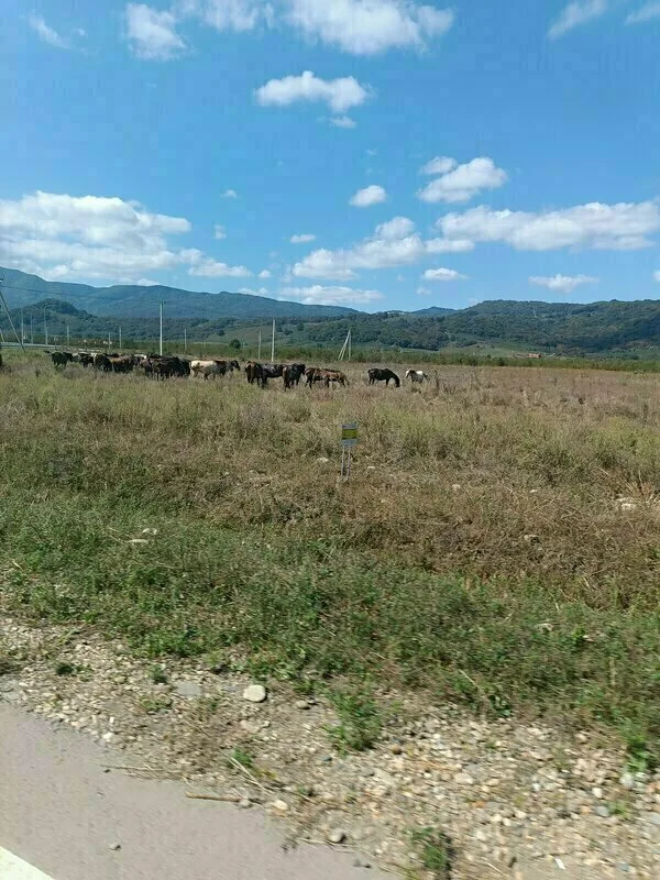 Усадьба Тхач — фото 9