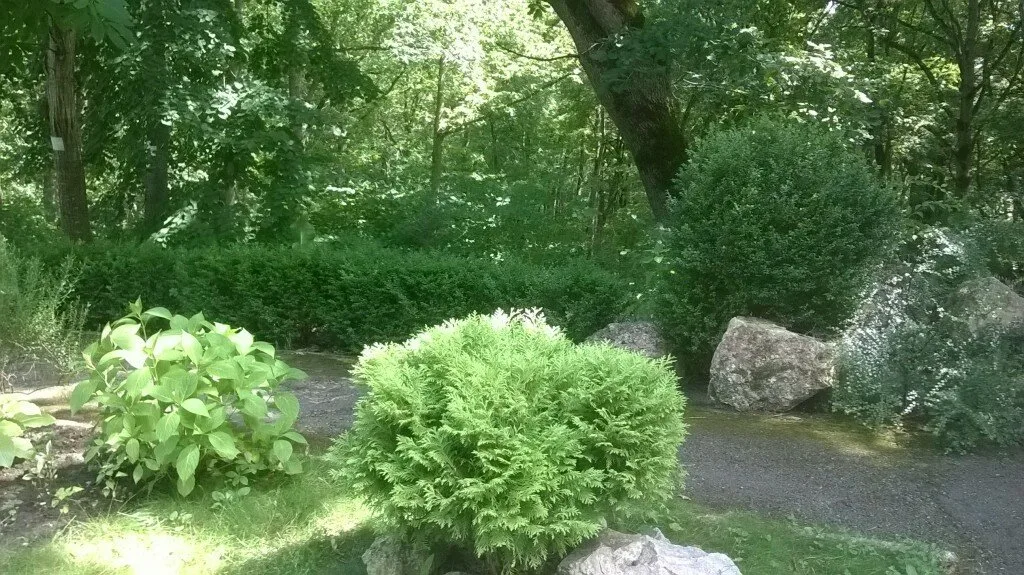 Клиника Лаго-Наки — фото 5