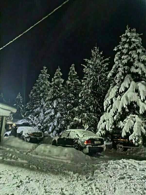 Снежный Барс — фото 5