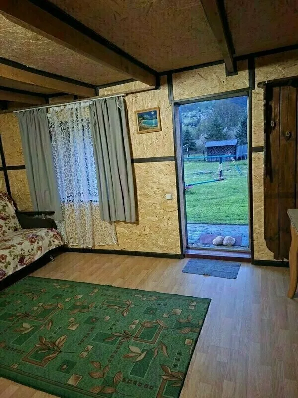 Снежный Барс — фото 7