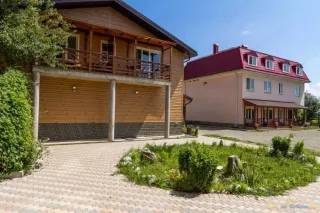 Аммонит